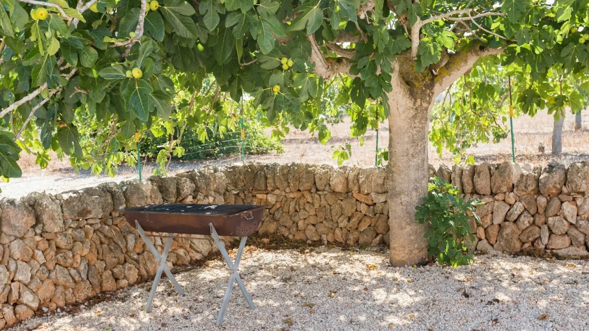Hort De Son Fideu Hotel S'Estanyol de Migjorn 3*,